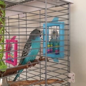 Meet your Posher, Sevgi